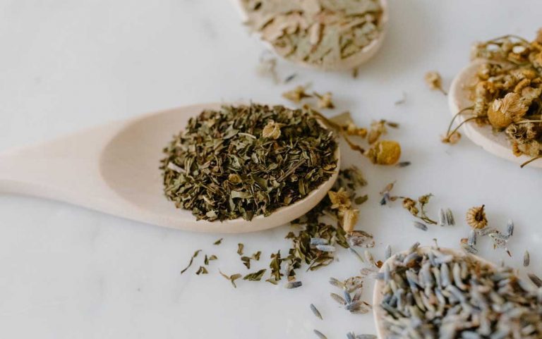 des herbes utilisés en Phytothérapie