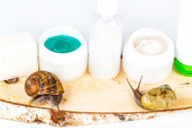 Quelques produits à base de bave d'escargots