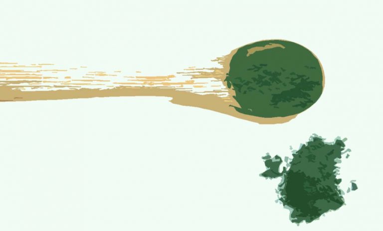Spiruline en poudre