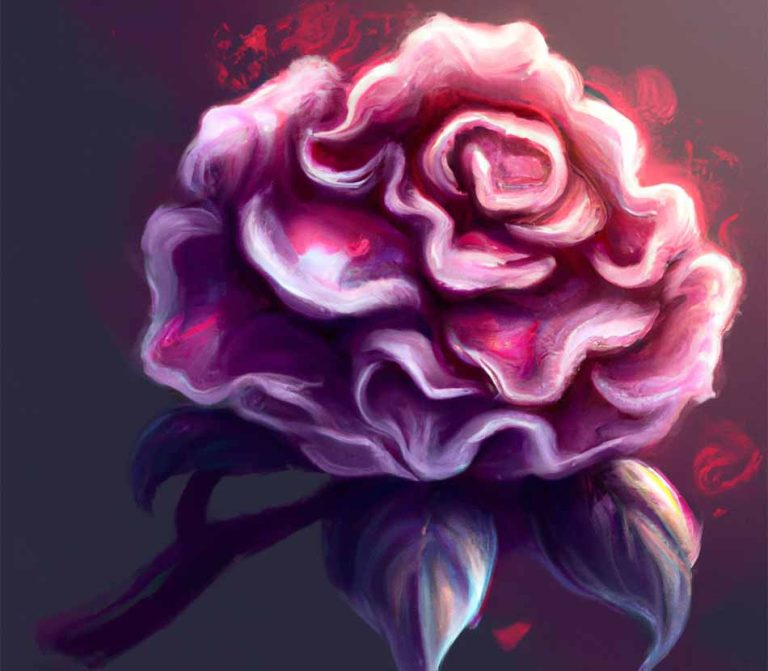 Illustration d'une fleur et de ses pouvoirs