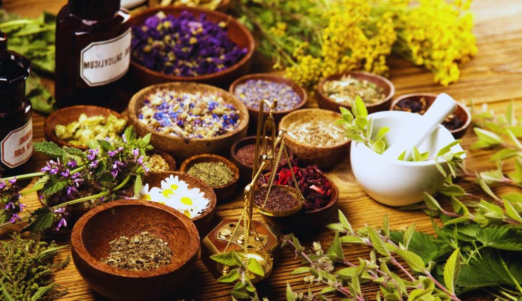 Plantes médicinales