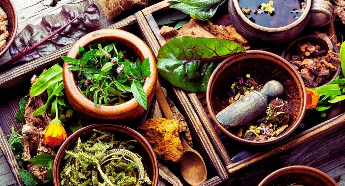 Assortiment de plantes medicinales, mortiers et bols disposes pour la phytotherapie