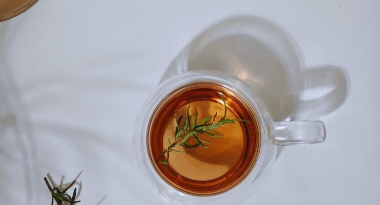 Tisane de romarin dans une tasse en verre avec un brin de romarin frais